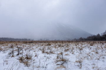 栃木県日光市 雪の戦場ヶ原と霞む男体山