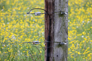 close up of a electrical wire fence around a pasture