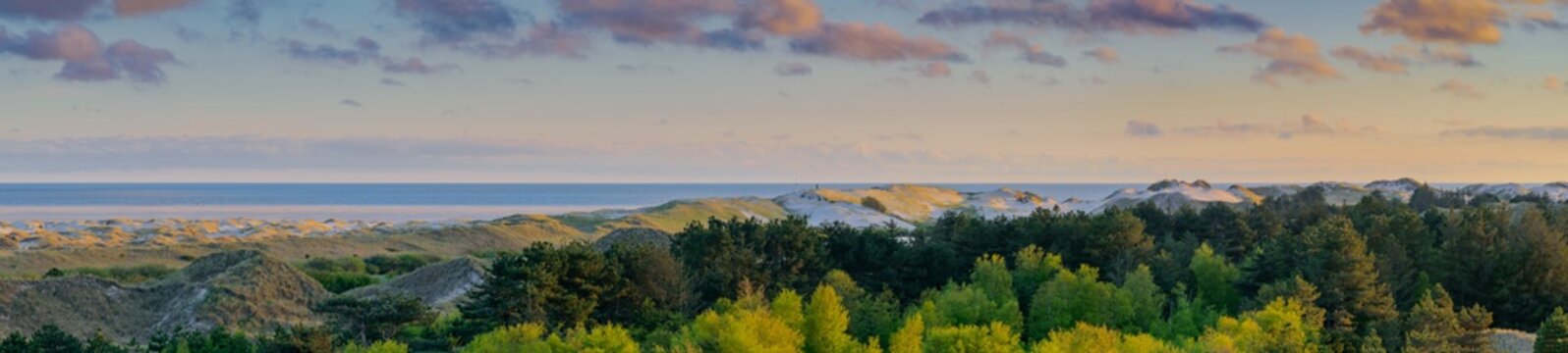Breathtaking beautiful view of coastal landscape at North sea with sand dunes and forest, Isle Amrum,Schleswig-Holstein, Germany. Stunning view from Wadden Sea coastline with sandy  dunes and forest.