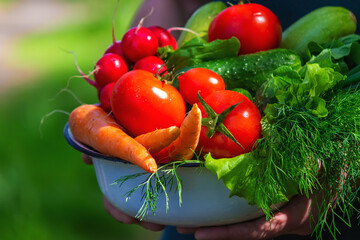 farmer in blue clothes holds ripe vegetables in his hands. Carrots, pink radishes, zucchini, cucumber, onions. No plastic, no waste, ecology
