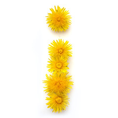 The letter I of yellow dandelions