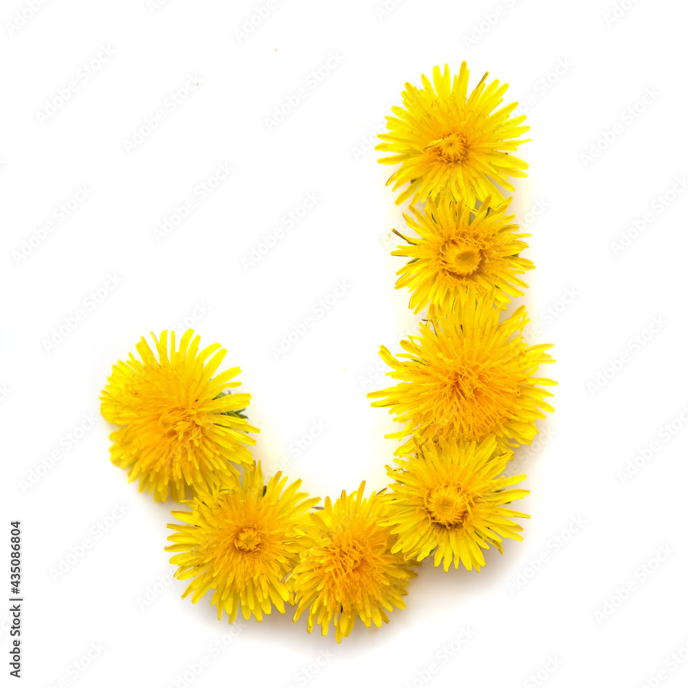 Poster The letter J of yellow dandelions