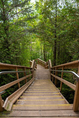 A stairway leads down through a forest towards Lake Huron as part of the Lighthouse Trail in Goderich, Ontario.