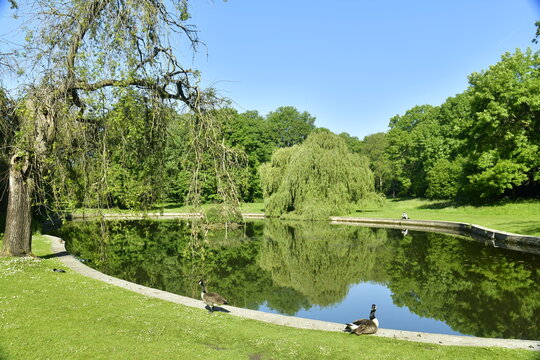 L'&eacute;tang sup&eacute;rieur entour&eacute; de bois et pelouses au parc Roi Baudoin &agrave; Jette