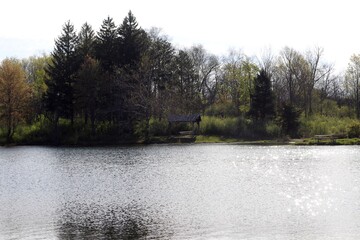A beautiful lake in the countryside on a sunny spring day.