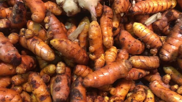 a raw and fresh turmeric at the market. Panning footage. 
