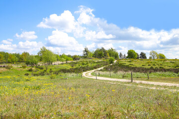 Hiking trail in Döberitz Heath (Döberitzer Heide) former military training area, federal state...