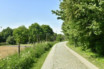 Fototapeta na wymiar Chemin pavé traversant les zones rurales de l'extrémité de Jette à l'ouest de Bruxelles Capitale Région 
