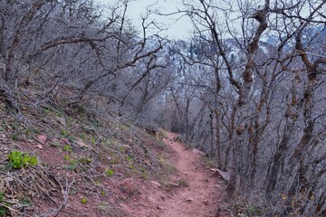 Grandeur Peak hiking trail loop views spring back around Bonneville Shoreline Pipe Line Overlook Rattlesnake Gulch trail, Wasatch Front Rocky Mountains, by Salt Lake City, Utah. United States. USA