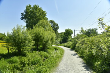 Promenade le long de la ligne de chemin de fer au parc Roi Baudoin à Jette 