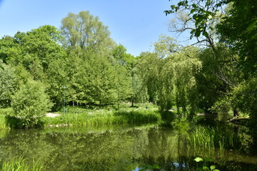 Fototapeta na wymiar La végétation luxuriante au printemps autour d'un étang au parc Roi Baudoin à Jette 