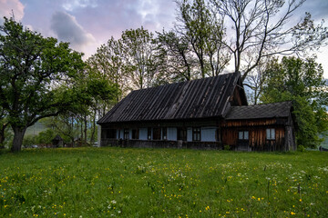 Fototapeta premium old house in the woods