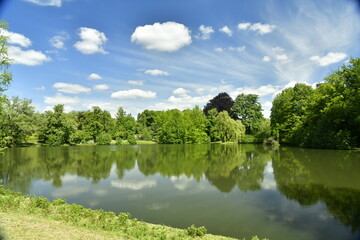 Fototapeta na wymiar Le petit étang Tenreuken entouré de végétation luxuriante sous des cumulus de beau temps à Watermael-Boitsfort 