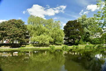 Fototapeta na wymiar La végétation luxuriante du parc des étangs du Leybeek à Watermael Boitsfort 