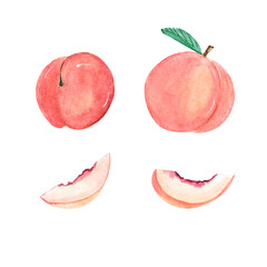 Watercolor hand drawn ripe peaches on a transparent background.