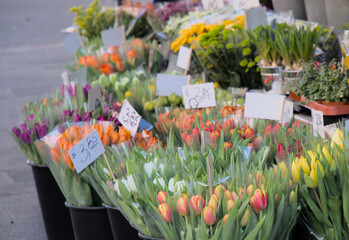 Flowers for sale