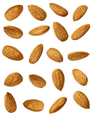 almond nut food healthy organic natural ingredient snack isolated seed brown fruit closeup nutrition group