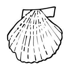 doodle marine object, line art icon of seashell on a white background