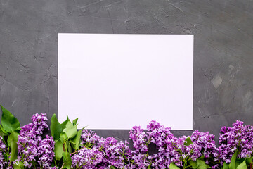 Spring flowers mock up. Purple flowers with green leaves. Space for text