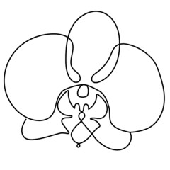 Orchid flower. One line art