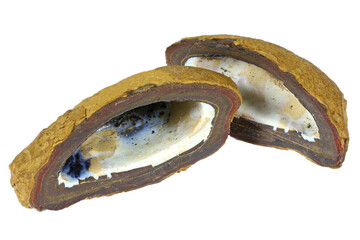 boulder opal nut from Australia isolated on white background