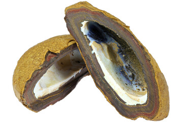 boulder opal nut from Australia isolated on white background
