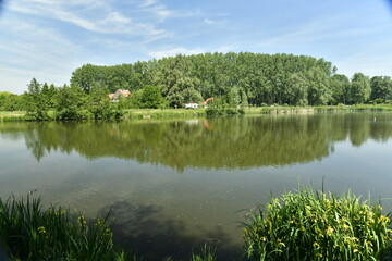 Le grand étang de Neerpede entouré de végétation luxuriante à l'ouest d'Anderlecht 