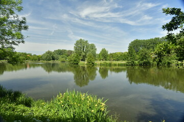 Fototapeta na wymiar Le grand étang de Neerpede entouré de végétation luxuriante à l'ouest d'Anderlecht 