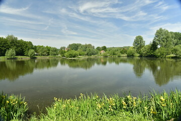 Le grand étang de Neerpede entouré de végétation luxuriante à l'ouest d'Anderlecht 