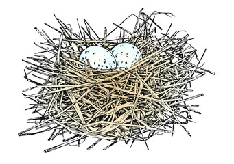 nest with eggs