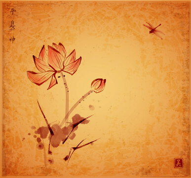 Lotus flowers and dragonfly hand drawn with ink on vintage background. Traditional oriental ink painting sumi-e, u-sin, go-hua. Hieroglyphs - spirit, nature, peace