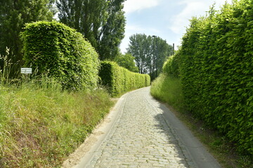 Chemin pavé à l'une des sortie du parc Neerpede à Anderlecht 