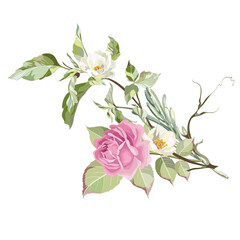 Fototapeta premium bouquet with pink roses