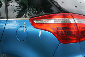  A car stained with bird shit after being parked under a tree.