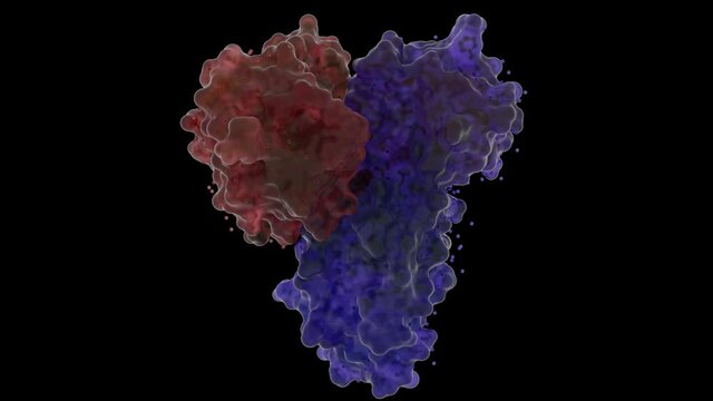 Crystal Structure of the SARS Coronavirus Main Protease. Shell Structure