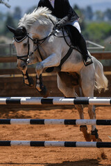Rider on horse jumping over a hurdle during the equestrian event	