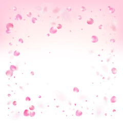 Fototapeta na wymiar Rose Petals Flying Confetti. Windy Leaves Confetti Design. Falling