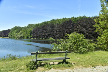 Obraz premium Coin de repos en face d'un des plans d'eau dans un cadre verdoyant au parc de Tervuren 