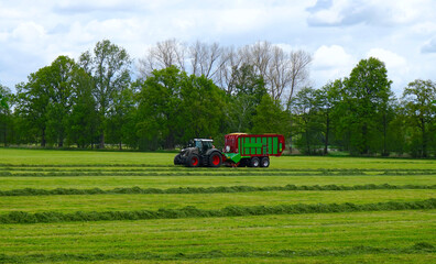 Traktor mit Silierwagen bei der Aufnahme des Ernteguts auf einer Wiese, Landwirtschaft