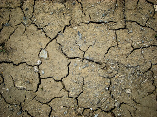 Cracked soil ground. Cracked soil texture or background. Natural abstraction. Ground background. Cracks on the ground