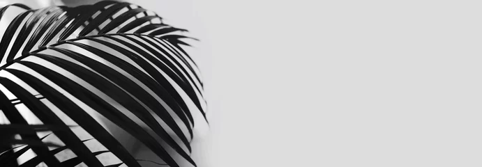 Fotobehang Black and white Palm leaf. Tropical plants. Nature light and shadow background. © Liliia