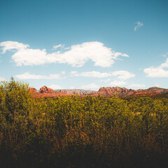 landscape in the mountains