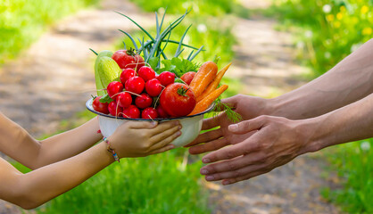 A man and his child in the garden with vegetables in their hands. Selective focus.