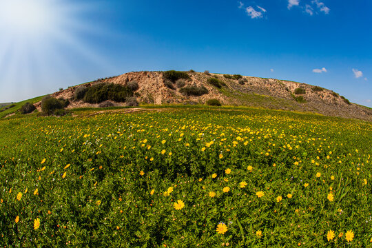 The Negev Desert. Israel