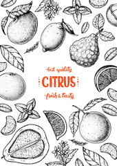 Citrus sketch collection. Hand drawn vector illustration. Organic food, citrus design template. Engraving illustration. - obrazy, fototapety, plakaty