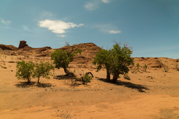harman canyon tsav national park in mongolia, dinosaur cemetery