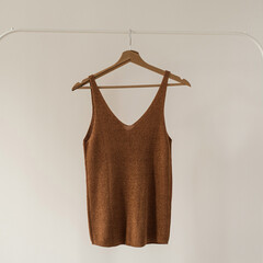 Aesthetic minimalist fashion influencer blog composition. Brown female top on clothing rack against...