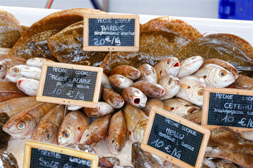 Vente de poisson à la criée, étalage de la pêche en mer 