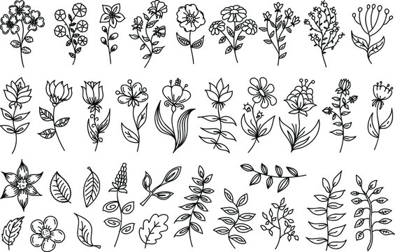 5 949 Best Lotus Flower Line Drawing Images Stock Photos Vectors Adobe Stock
