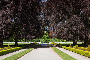 beautiful symmetrical park on a calm quiet summer day